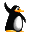 Karting Pinguin3